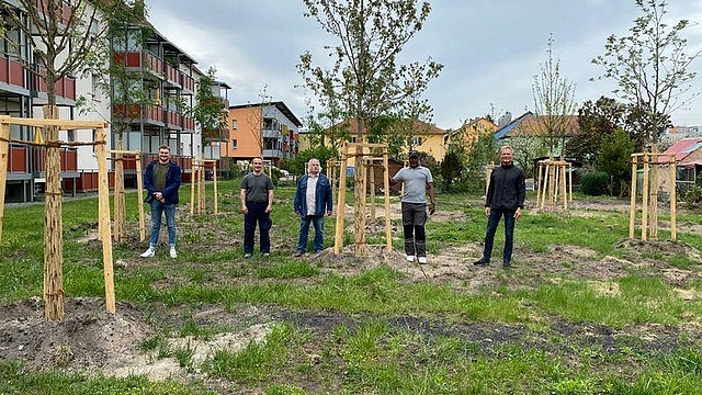 Das Foto zeigt 5 Personen zwischen mehreren frisch gepflanzten ca. 6m hohen Bäumen in einem Wohngebiet